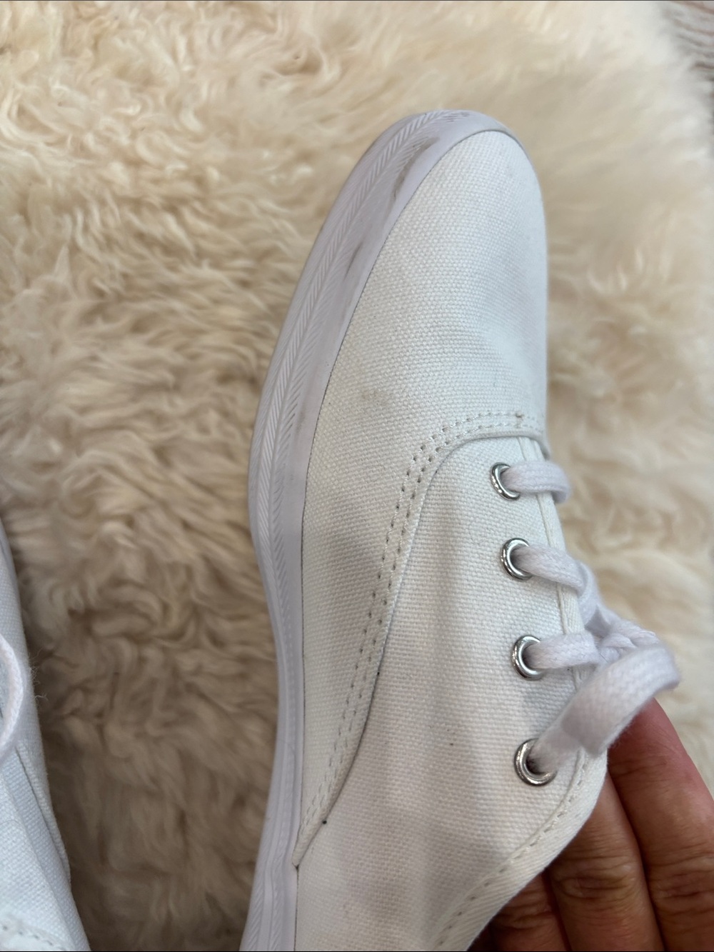Keds Canvas Lace-Up Sneakers - Picture 6 of 13